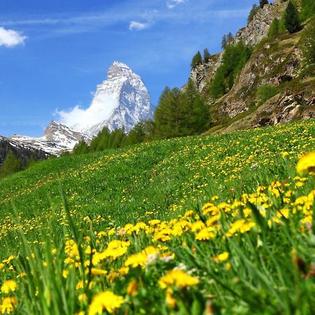 Apartment Apollo By Interhome Zermatt Zewnętrze zdjęcie