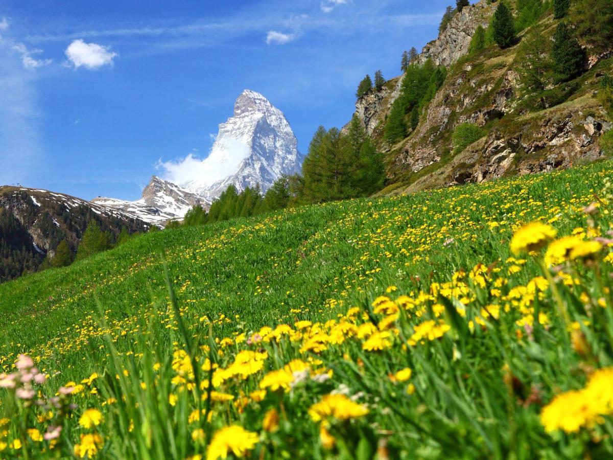 Apartment Apollo By Interhome Zermatt Zewnętrze zdjęcie