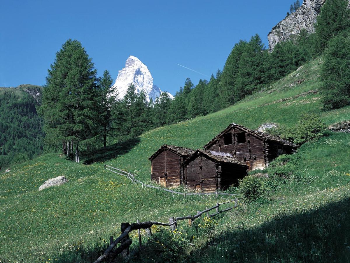 Apartment Apollo By Interhome Zermatt Zewnętrze zdjęcie